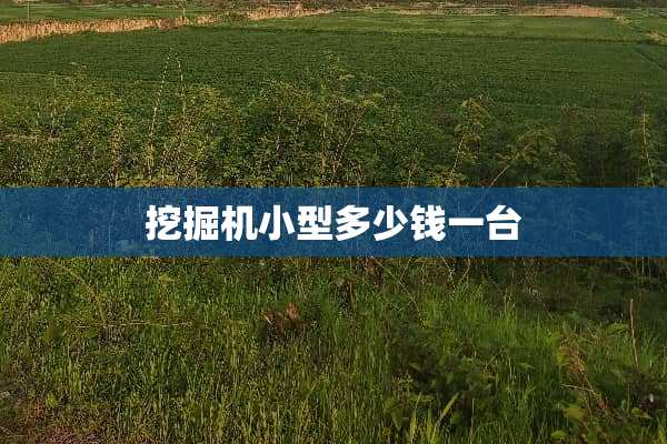 挖掘机小型多少钱一台