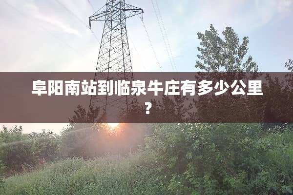 阜阳南站到临泉牛庄有多少公里？