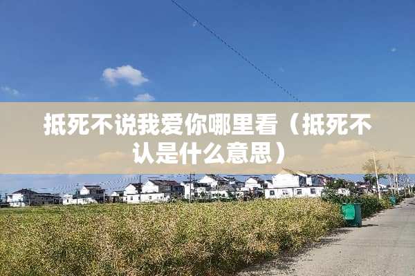 抵死不说我爱你哪里看（抵死不认是什么意思）