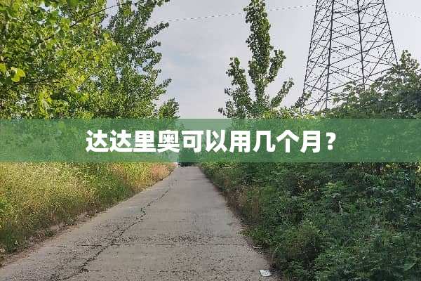 达达里奥可以用几个月？