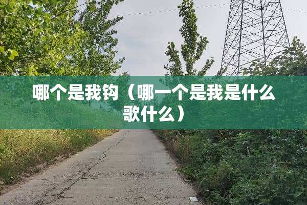 哪个是我钩（哪一个是我是什么歌什么）