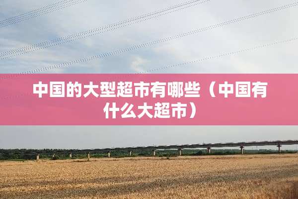 中国的大型超市有哪些（中国有什么大超市）