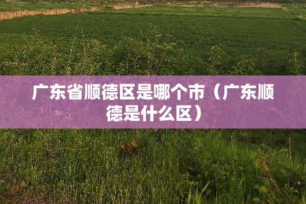 广东省顺德区是哪个市（广东顺德是什么区）