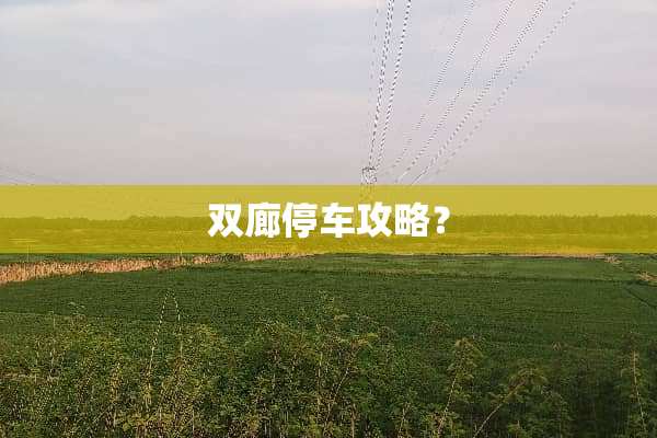 双廊停车攻略？