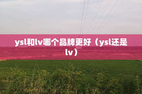 ysl和lv哪个品牌更好（ysl还是lv）