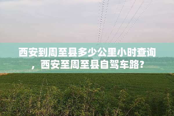 西安到周至县多少公里小时查询，西安至周至县自驾车路？