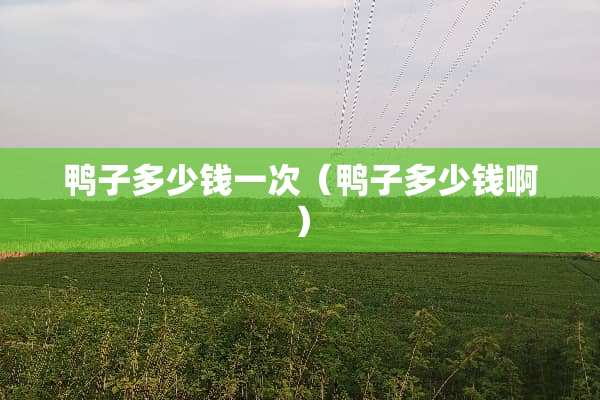 鸭子多少钱一次（鸭子多少钱啊）