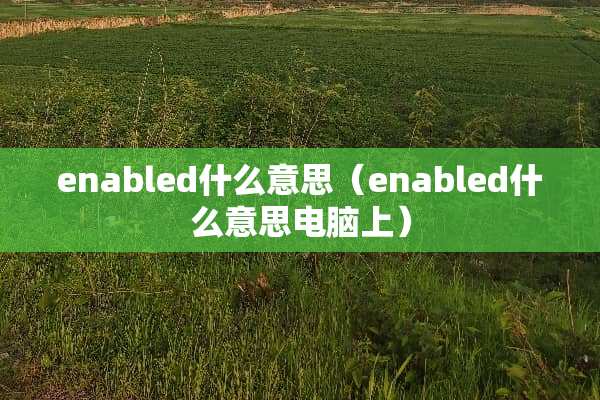 enabled什么意思（enabled什么意思电脑上）
