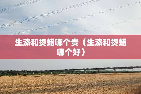 生漆和烫蜡哪个贵（生漆和烫蜡哪个好）