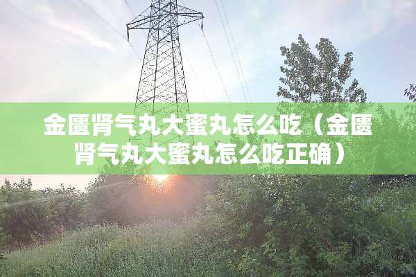 金匮肾气丸大蜜丸怎么吃（金匮肾气丸大蜜丸怎么吃正确）