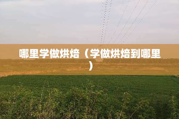 哪里学做烘焙（学做烘焙到哪里）