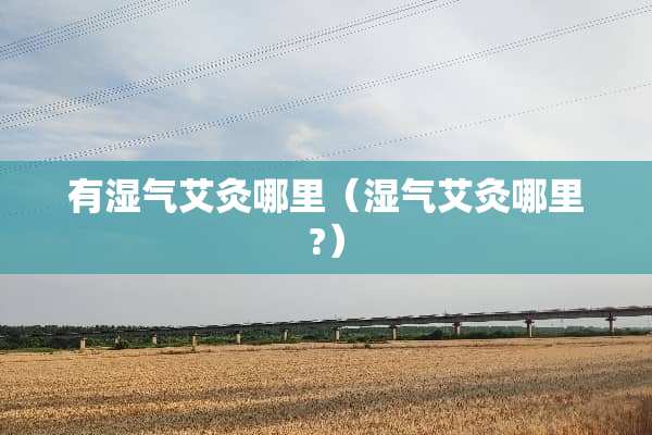 有湿气艾灸哪里（湿气艾灸哪里?）