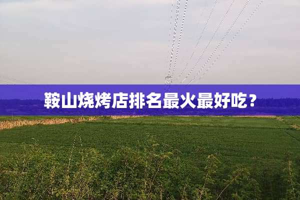 鞍山烧烤店排名最火最好吃？