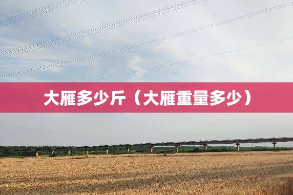 大雁多少斤（大雁重量多少）