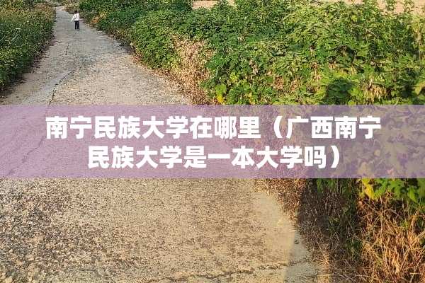 南宁民族大学在哪里（广西南宁民族大学是一本大学吗）