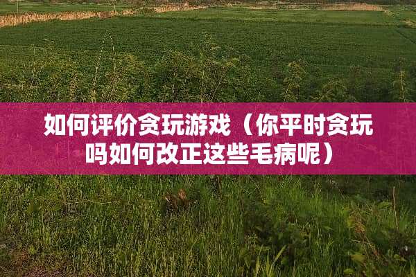 如何评价贪玩游戏（你平时贪玩吗如何改正这些毛病呢）