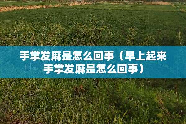 手掌发麻是怎么回事（早上起来手掌发麻是怎么回事）
