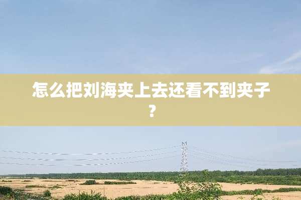 怎么把刘海夹上去还看不到夹子？