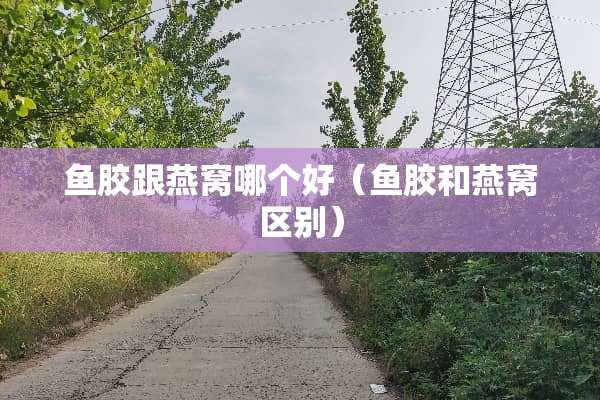 鱼胶跟燕窝哪个好（鱼胶和燕窝区别）