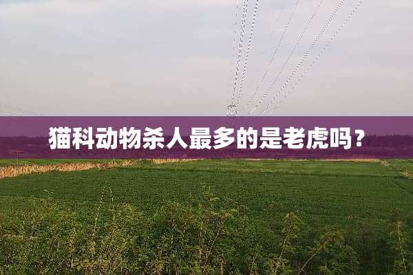 猫科动物杀人最多的是老虎吗？