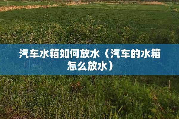 汽车水箱如何放水（汽车的水箱怎么放水）