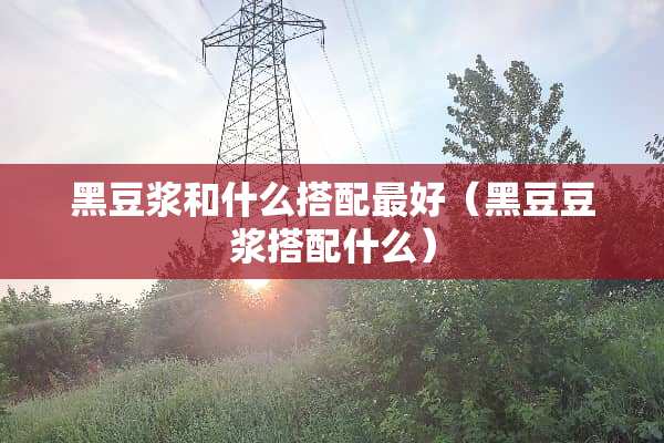 黑豆浆和什么搭配最好（黑豆豆浆搭配什么）