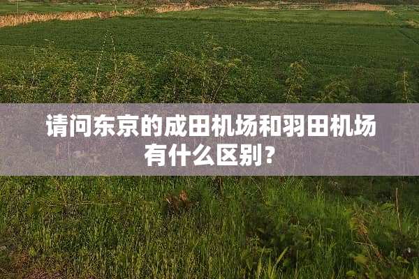 请问东京的成田机场和羽田机场有什么区别？