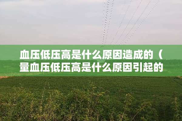 血压低压高是什么原因造成的（量血压低压高是什么原因引起的?）
