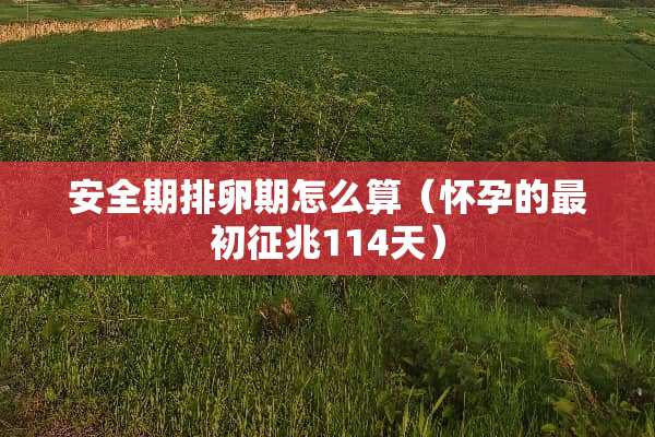 安全期排卵期怎么算（怀孕的最初征兆114天）