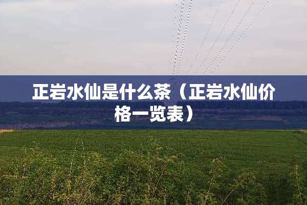 正岩水仙是什么茶（正岩水仙价格一览表）