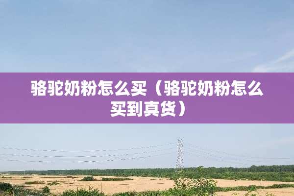 骆驼奶粉怎么买（骆驼奶粉怎么买到真货）
