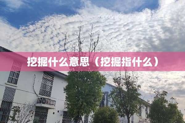 挖掘什么意思（挖掘指什么）