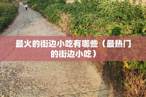 最火的街边小吃有哪些（最热门的街边小吃）