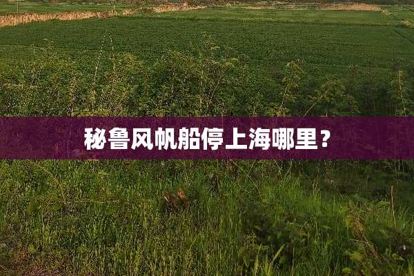 秘鲁风帆船停上海哪里？