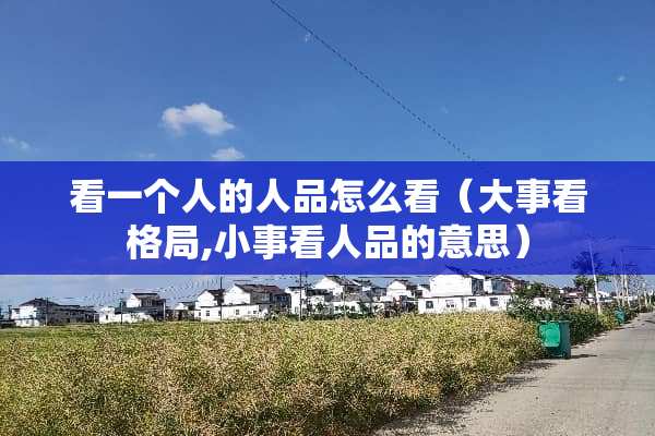 看一个人的人品怎么看（大事看格局,小事看人品的意思）