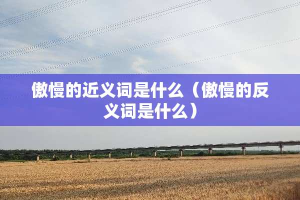 傲慢的近义词是什么（傲慢的反义词是什么）