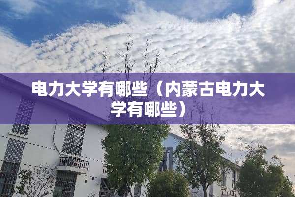 电力大学有哪些（***电力大学有哪些）