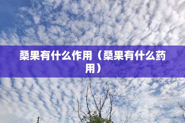 桑果有什么作用（桑果有什么药用）