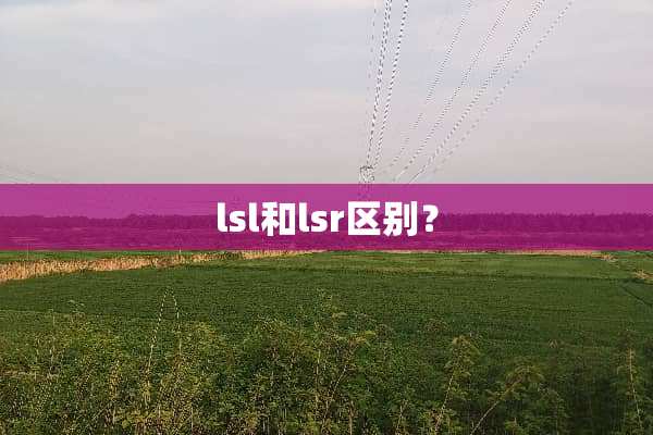 lsl和lsr区别？