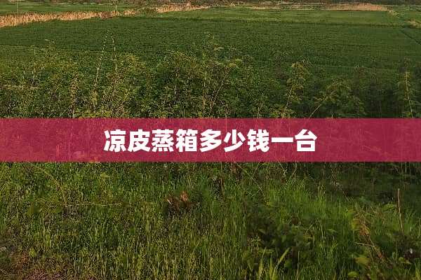 凉皮蒸箱多少钱一台