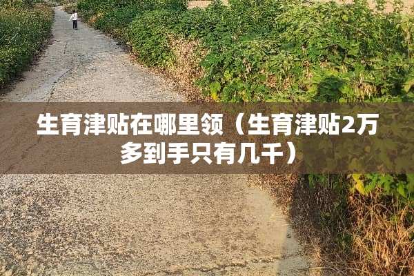 生育津贴在哪里领（生育津贴2万多到手只有几千）