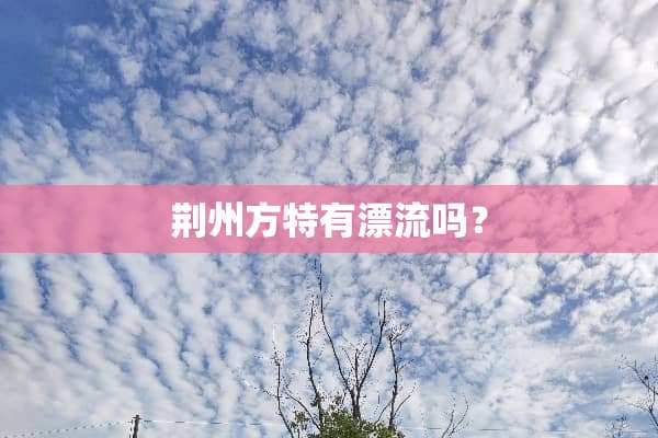 荆州方特有漂流吗？
