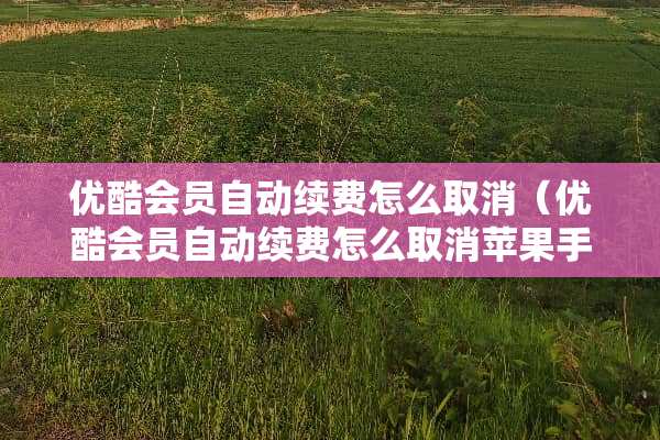 优酷会员自动续费怎么取消（优酷会员自动续费怎么取消苹果手机）