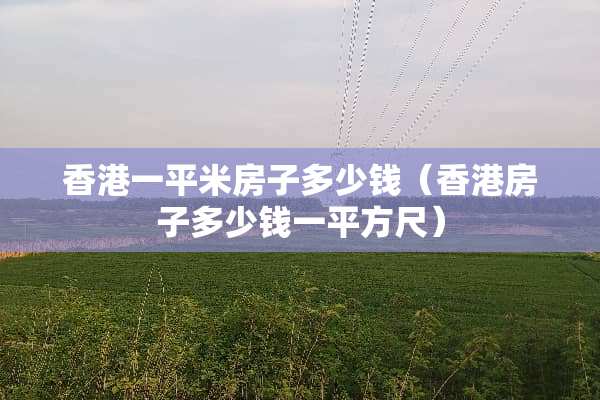 香港一平米房子多少钱（香港房子多少钱一平方尺）