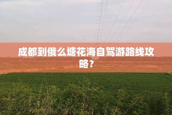 成都到俄么塘花海自驾游路线攻略？