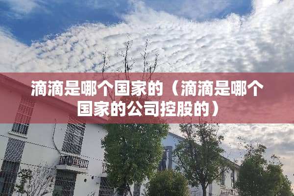 滴滴是哪个国家的（滴滴是哪个国家的公司控股的）
