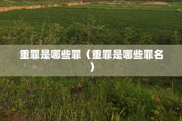 重罪是哪些罪（重罪是哪些罪名）