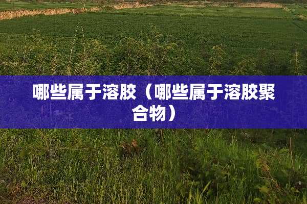 哪些属于溶胶（哪些属于溶胶聚合物）