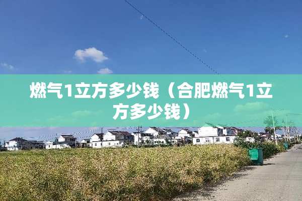燃气1立方多少钱（合肥燃气1立方多少钱）