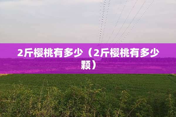 2斤樱桃有多少（2斤樱桃有多少颗）